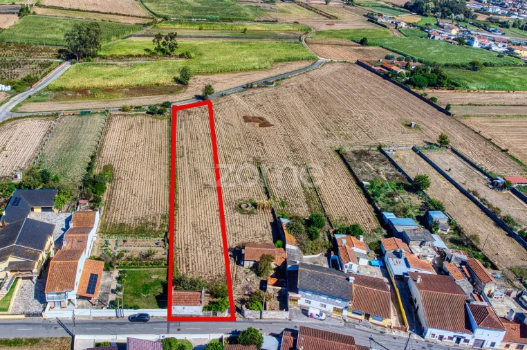 Terreno para Venda em Avanca Foto 3