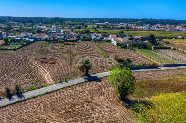 Terreno para Venda em Avanca Foto 16