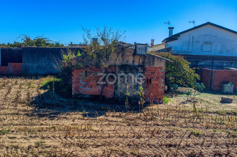 Terreno para Venda em Avanca Foto 20