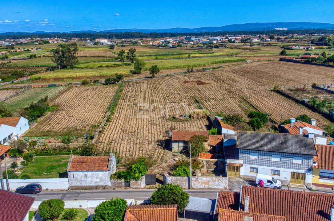 Terreno para Venda em Avanca Foto 7
