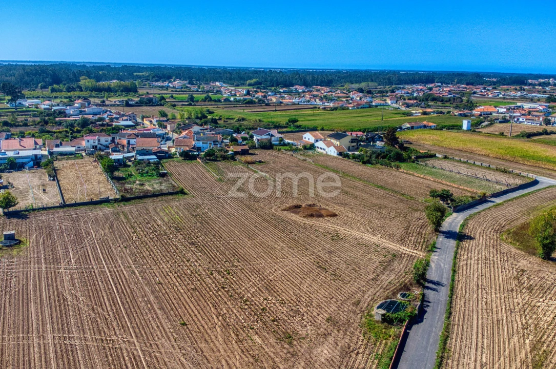 Terreno para Venda em Avanca Foto 13