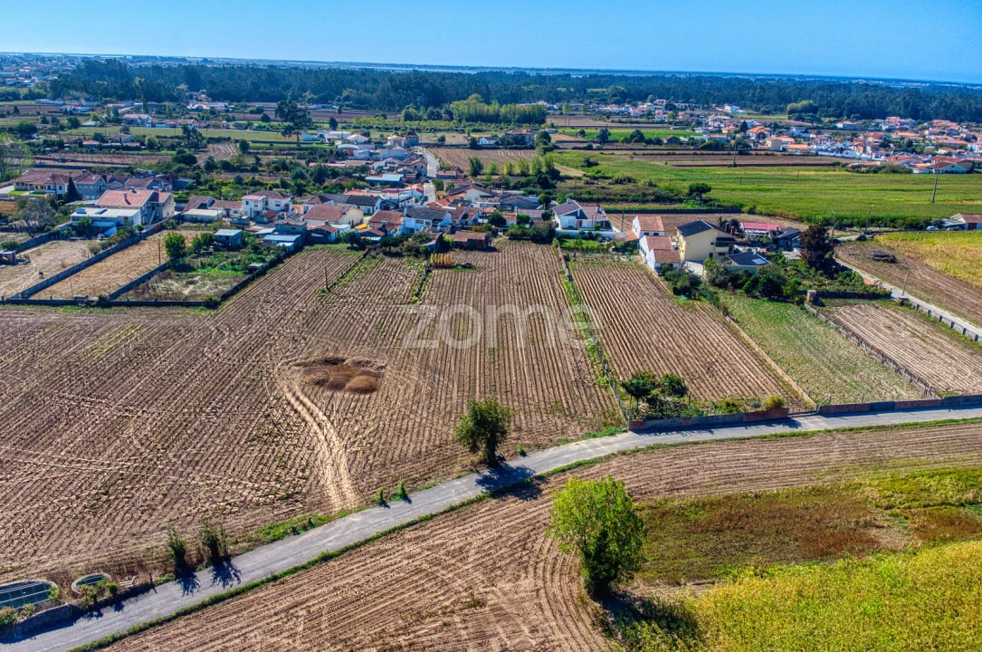 Terreno para Venda em Avanca Foto 14