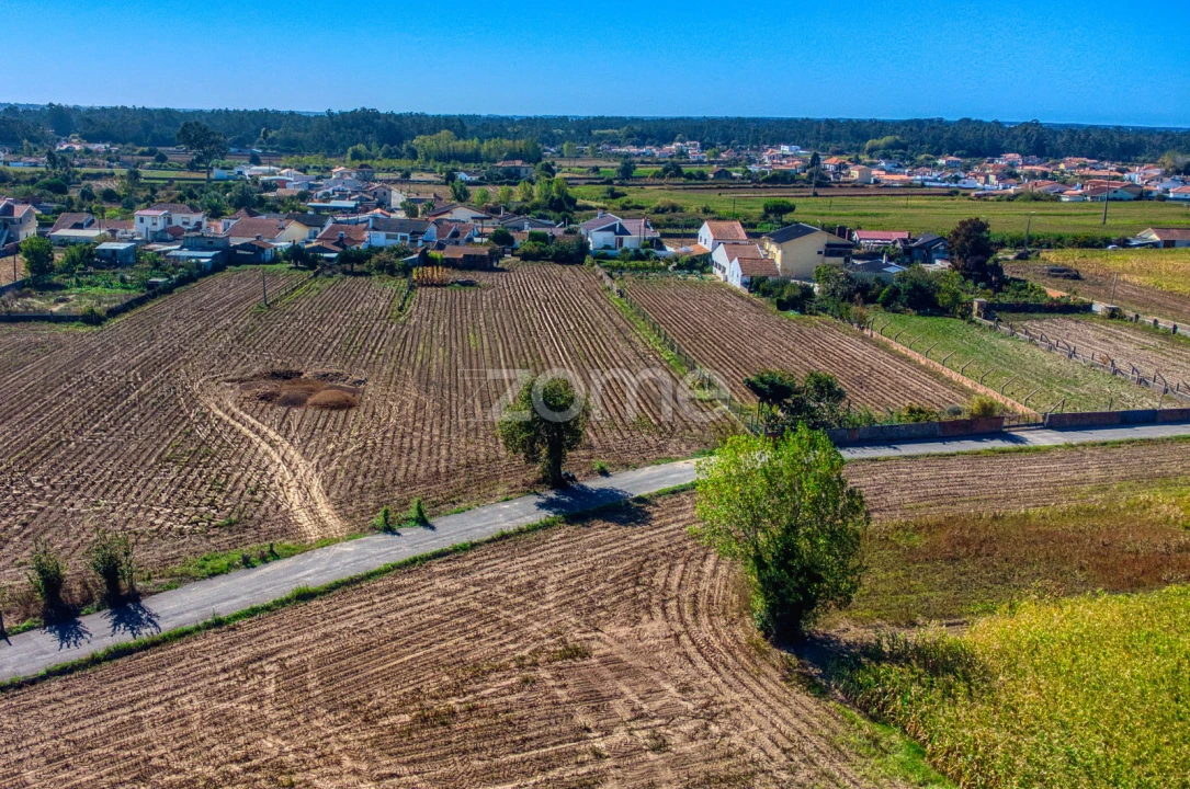 Terreno para Venda em Avanca Foto 16