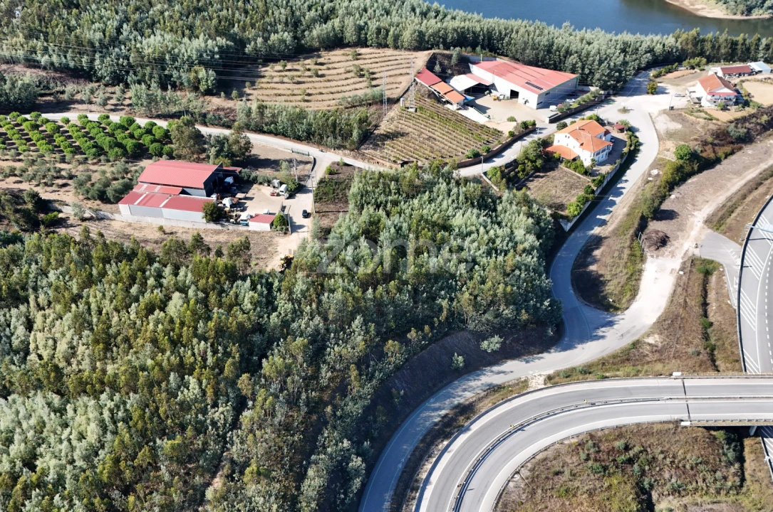 Terreno para Venda em Oliveira do Mondego e Travanca do Mondego Foto 3