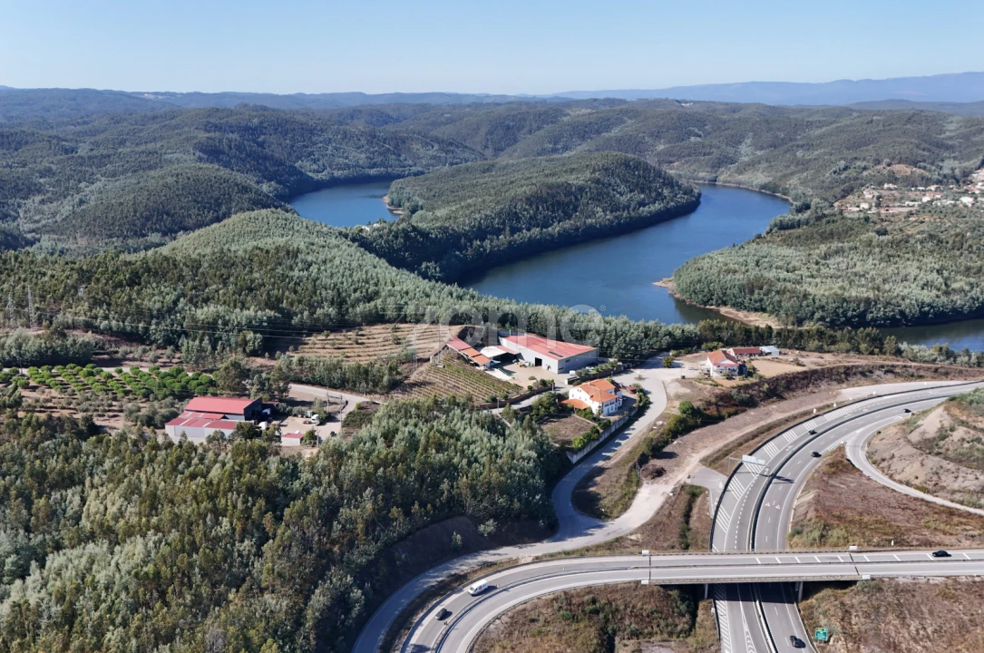 Terreno para Venda em Oliveira do Mondego e Travanca do Mondego Foto 12