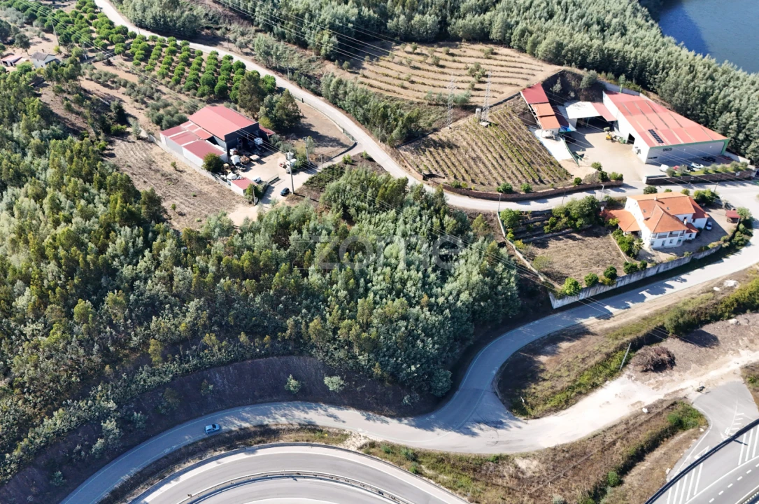 Terreno para Venda em Oliveira do Mondego e Travanca do Mondego Foto 14