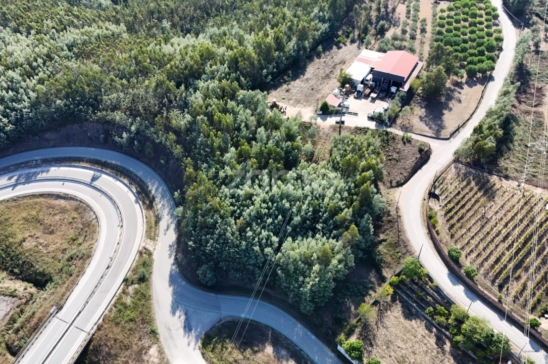 Terreno para Venda em Oliveira do Mondego e Travanca do Mondego Foto 15