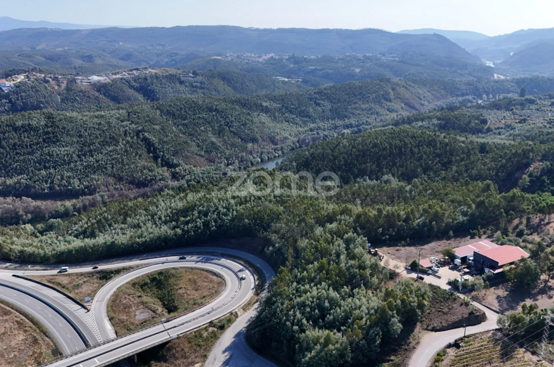 Terreno para Venda em Oliveira do Mondego e Travanca do Mondego Foto 16