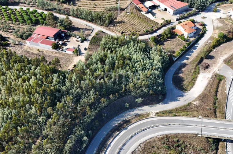 Terreno para Venda em Oliveira do Mondego e Travanca do Mondego Foto 13