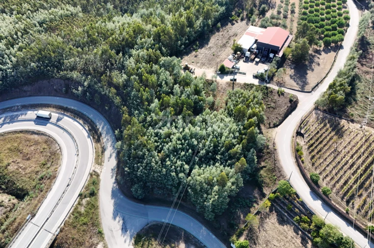 Terreno para Venda em Oliveira do Mondego e Travanca do Mondego