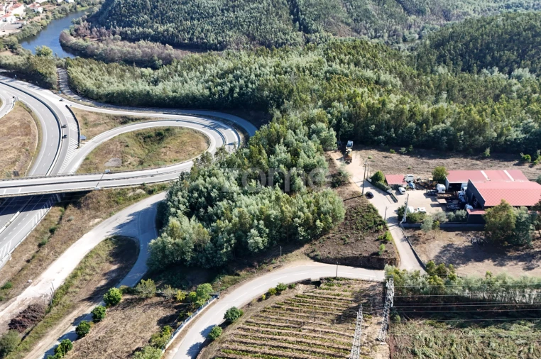 Terreno para Venda em Oliveira do Mondego e Travanca do Mondego Foto 2