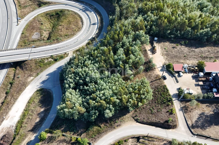 Terreno para Venda em Oliveira do Mondego e Travanca do Mondego Foto 5