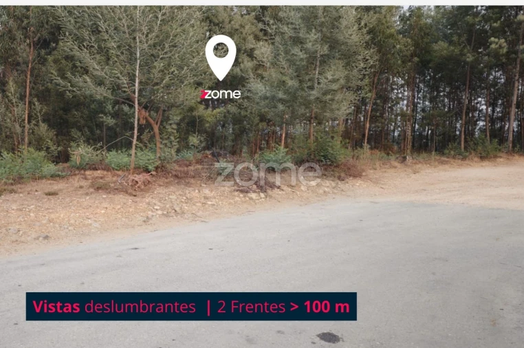 Terreno para Venda em Oliveira do Mondego e Travanca do Mondego Foto 6