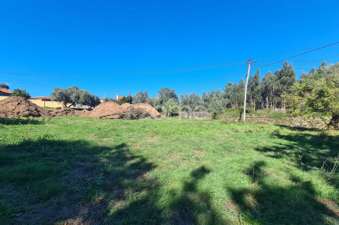 Terreno para Venda em Nogueira, Meixedo e Vilar de Murteda Foto 2