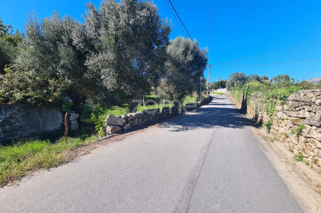 Terreno para Venda em Nogueira, Meixedo e Vilar de Murteda Foto 10