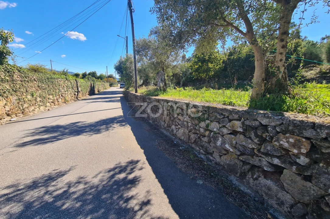 Terreno para Venda em Nogueira, Meixedo e Vilar de Murteda Foto 8