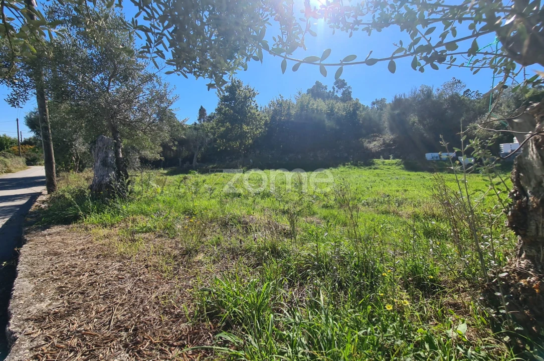 Terreno para Venda em Nogueira, Meixedo e Vilar de Murteda Foto 5