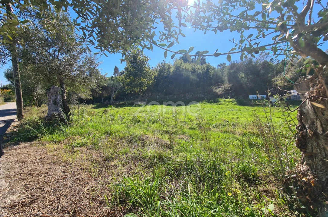 Terreno para Venda em Nogueira, Meixedo e Vilar de Murteda Foto 6