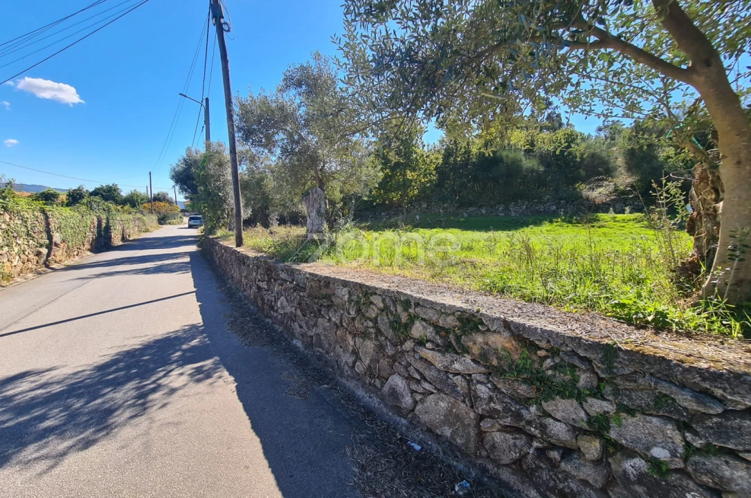 Terreno para Venda em Nogueira, Meixedo e Vilar de Murteda Foto 7