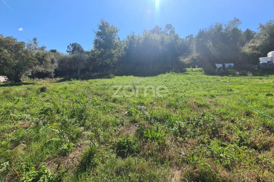 Terreno para Venda em Nogueira, Meixedo e Vilar de Murteda Foto 3