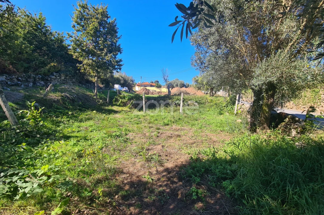Terreno para Venda em Nogueira, Meixedo e Vilar de Murteda Foto 12