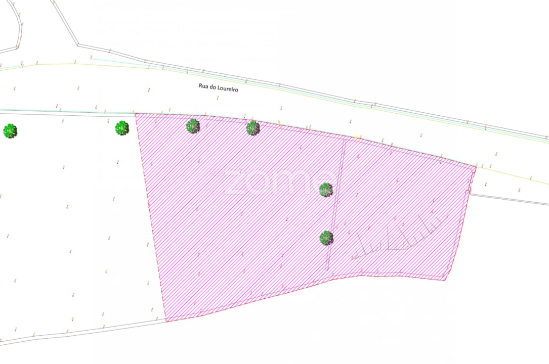 Terreno para Venda em Nogueira, Meixedo e Vilar de Murteda Foto 16