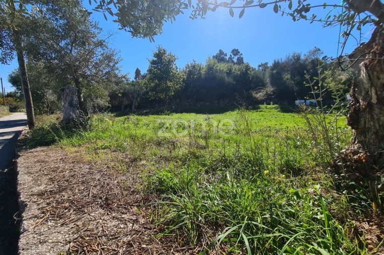 Terreno para Venda em Nogueira, Meixedo e Vilar de Murteda Foto 11