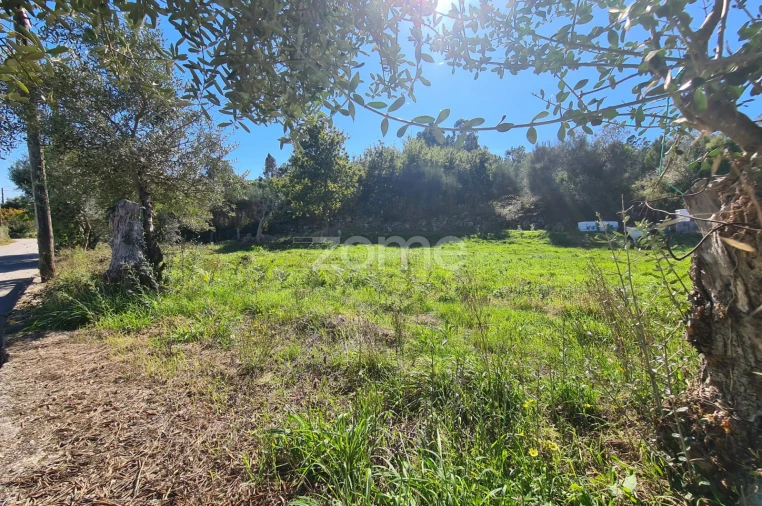 Terreno para Venda em Nogueira, Meixedo e Vilar de Murteda Foto 6