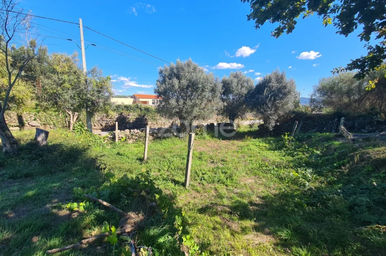 Terreno para Venda em Nogueira, Meixedo e Vilar de Murteda Foto 9