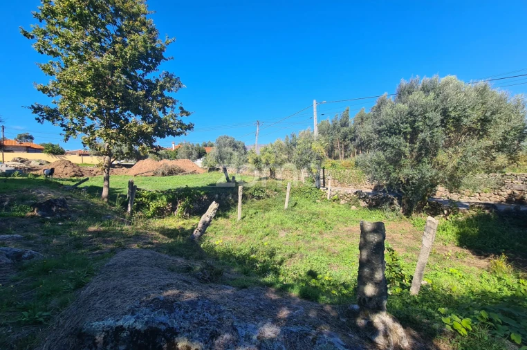 Terreno para Venda em Nogueira, Meixedo e Vilar de Murteda Foto 13