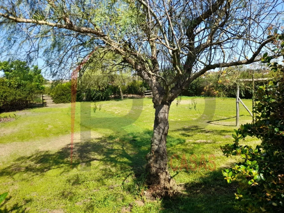 Moradia T4 para Arrendamento em Pinhal Novo Foto 4