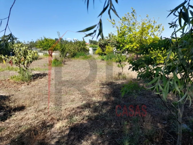 Moradia T4 para Arrendamento em Pinhal Novo Foto 6