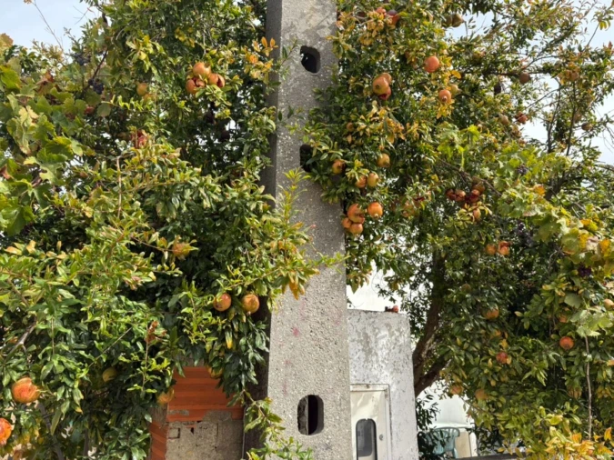 Terreno P/ Prédio para Venda em Quinta do Conde Foto 11
