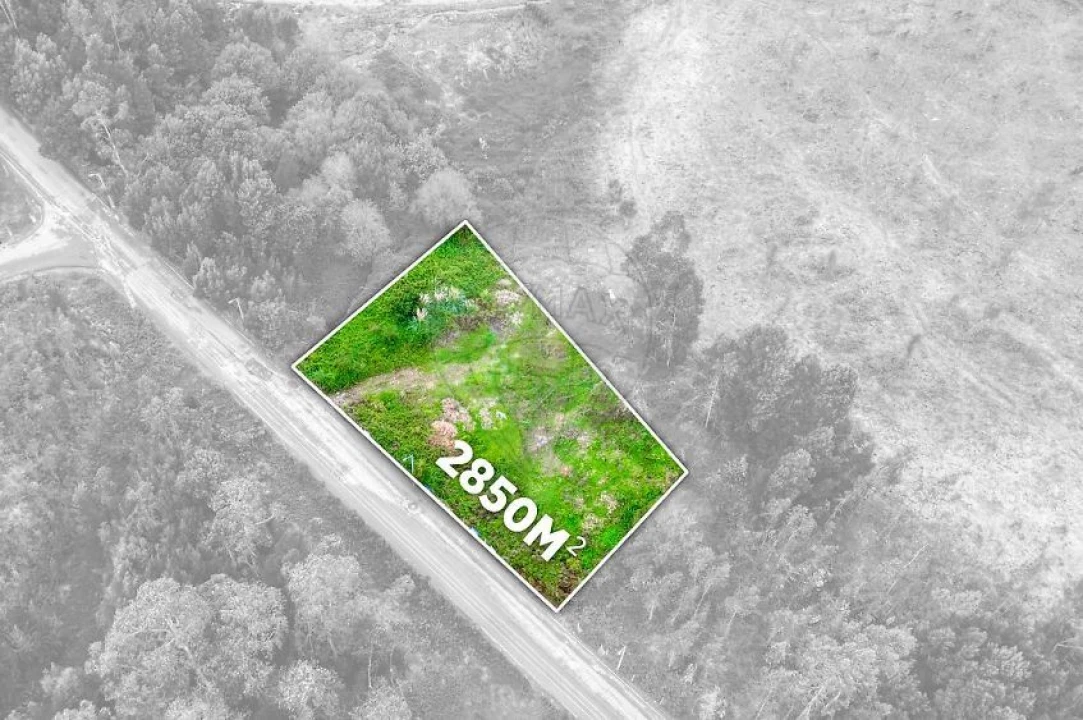 Terreno Agricola ou Rústico para Venda em Rio Meão Foto 16