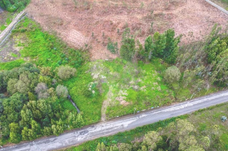 Terreno Agricola ou Rústico para Venda em Rio Meão Foto 12