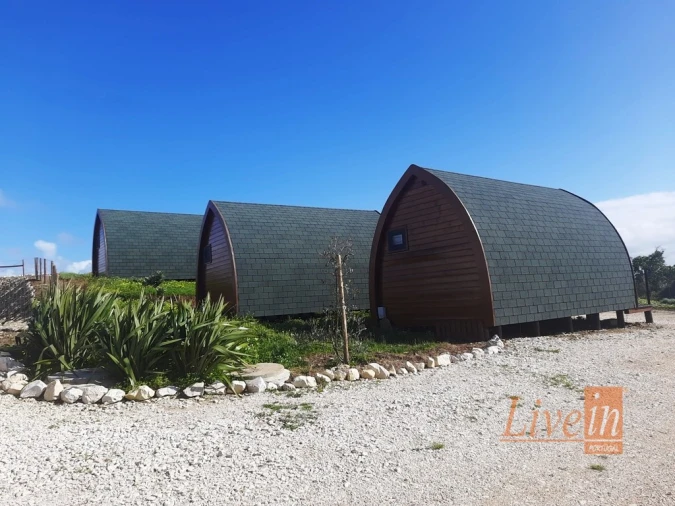 Negócio para Venda em Encarnação