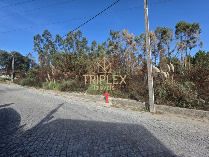 Terreno para Venda em Cidade da Maia Foto 5