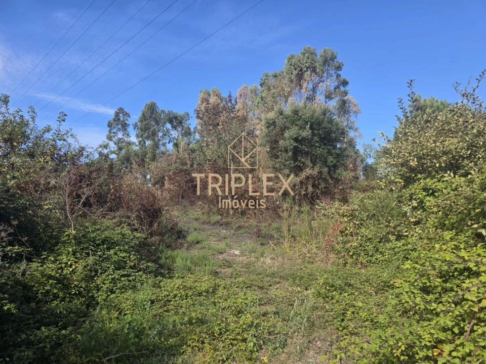 Terreno para Venda em Cidade da Maia Foto 10