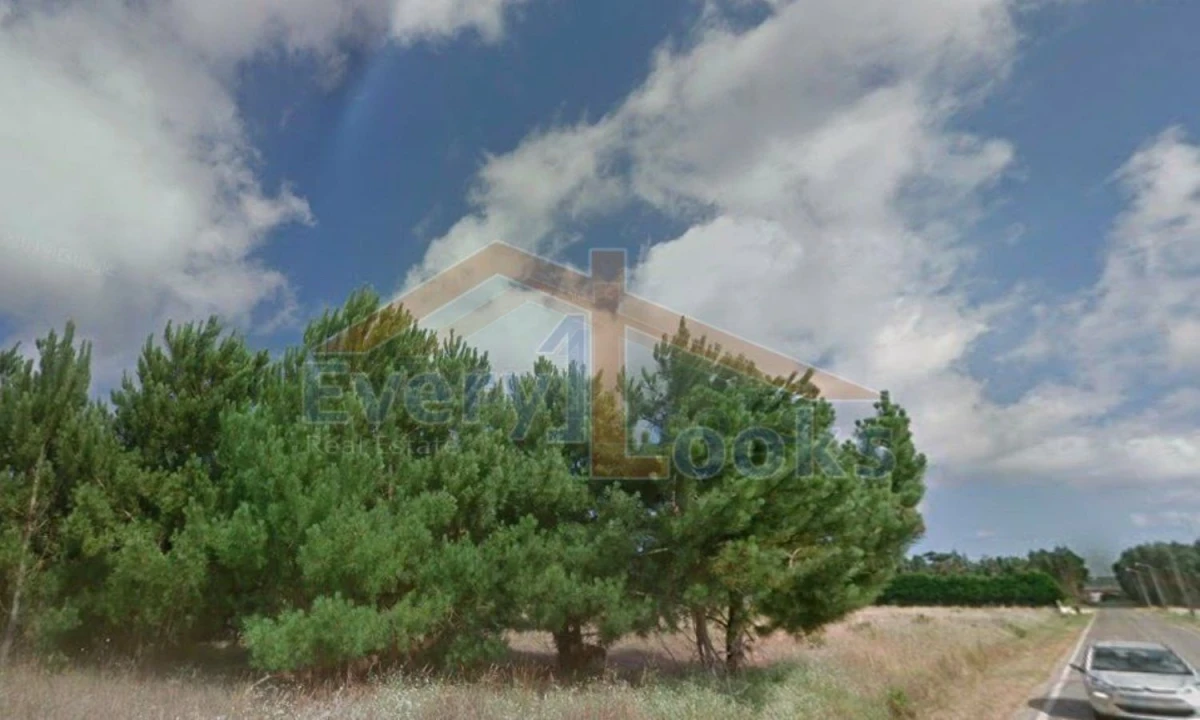 Terreno para Venda em Atouguia da Baleia Foto 4