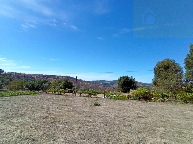 Terreno para Venda em Tavares (Chãs, Várzea e Travanca) Foto 1