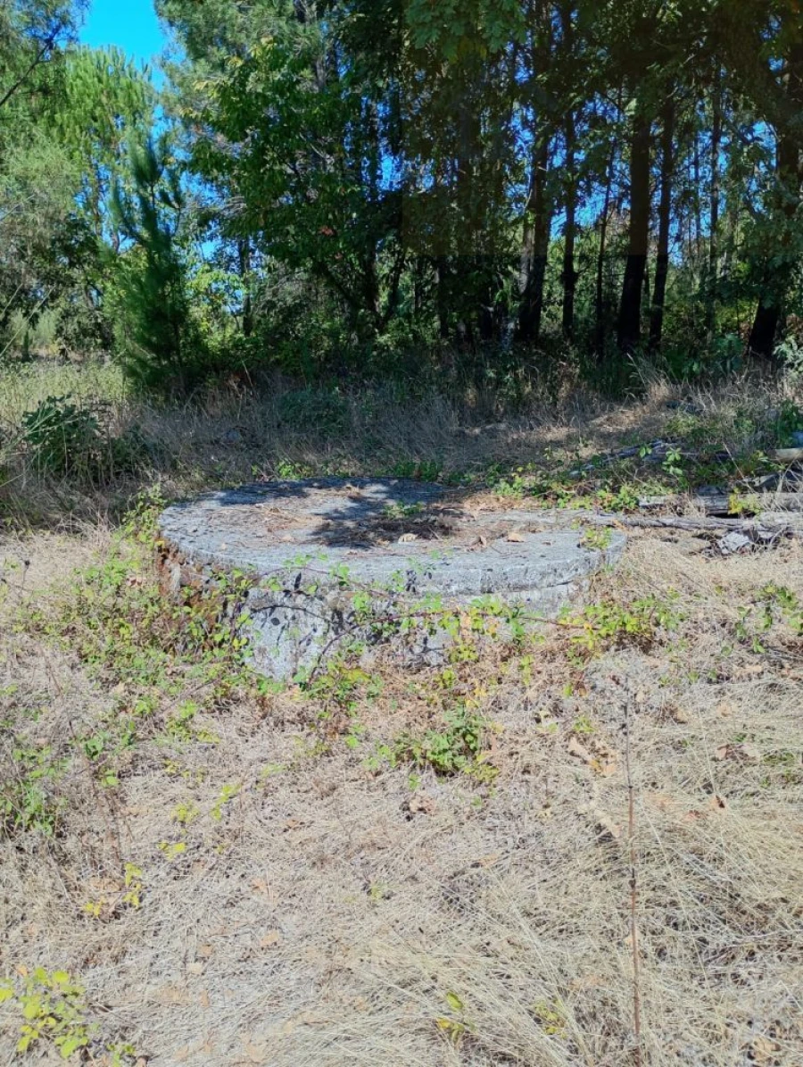 Terreno para Venda em Tavares (Chãs, Várzea e Travanca) Foto 3