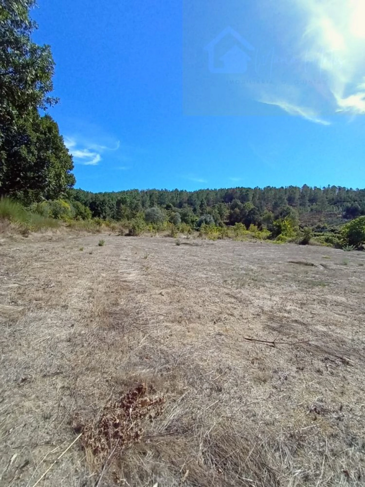 Terreno para Venda em Tavares (Chãs, Várzea e Travanca) Foto 2