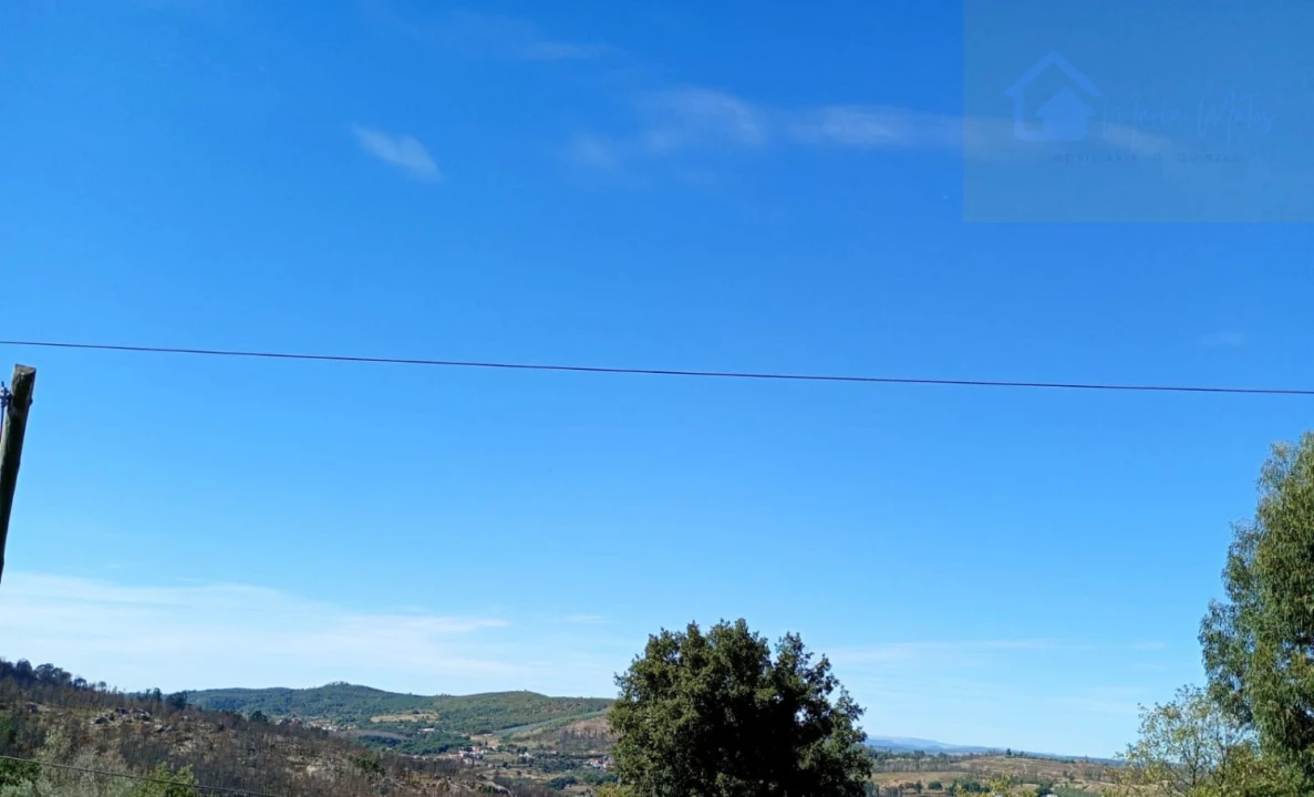Terreno para Venda em Tavares (Chãs, Várzea e Travanca) Foto 4