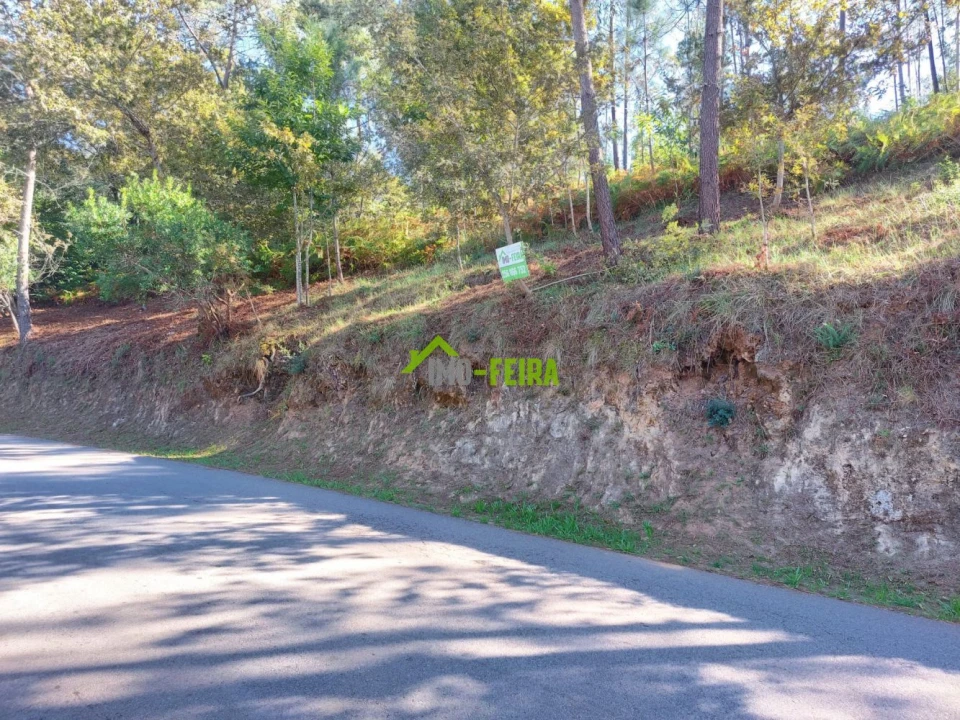 Terreno para Venda em Arrifana Foto 3