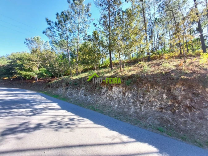 Terreno para Venda em Arrifana