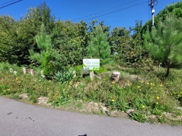 Terreno para Venda em Santa Maria da Feira, Travanca, Sanfins e Espargo