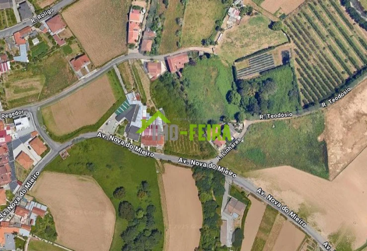 Terreno para Venda em Santa Maria da Feira, Travanca, Sanfins e Espargo Foto 6