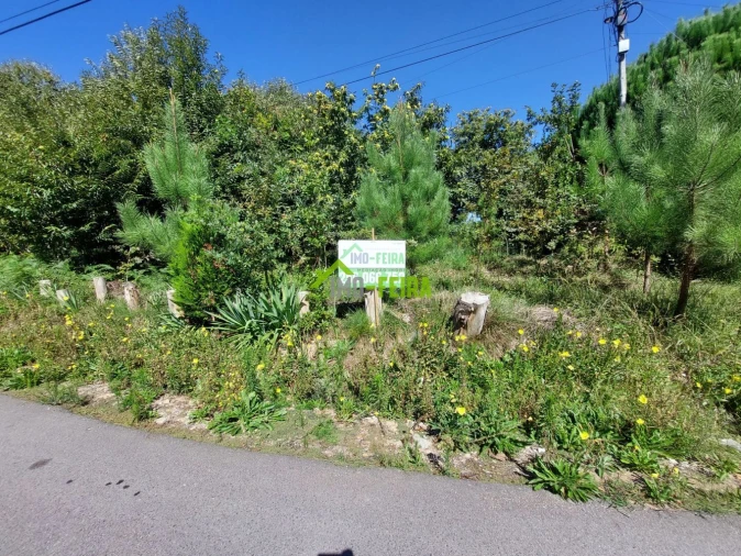 Terreno para Venda em Santa Maria da Feira, Travanca, Sanfins e Espargo Foto 3