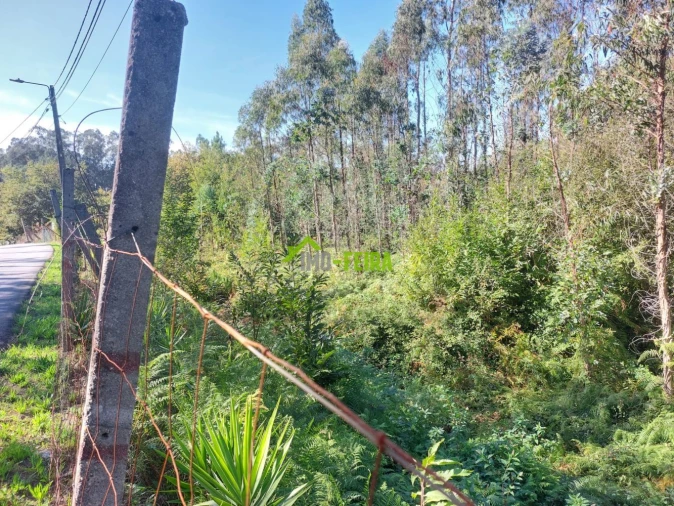 Terreno para Venda em Arrifana Foto 3