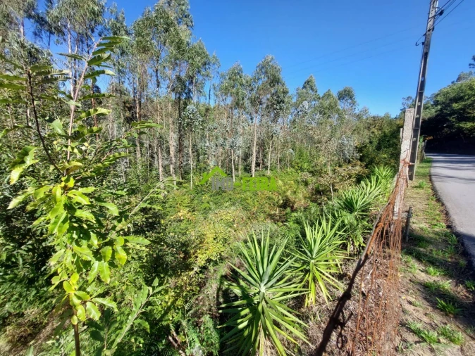 Terreno para Venda em Arrifana Foto 4